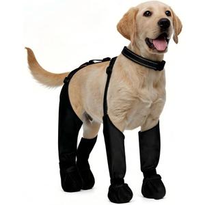 All-in-One Dog Suspender Boots for Small, Medium & Large Dogs Waterproof Paw Protectors with Non-Slip Sole & Reflective Straps, Ideal for Rain, Snow, and Hiking (Black, M)