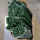 Garmeinea Garden Stakes 57 Inches Plastic Coated Steel Plant Stakes for Growing Climbing Plants, Pack of 25