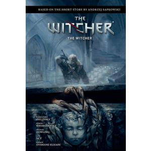 Andrzej Sapkowski's The Witcher: The Witcher, by Andrzej Sapkowski (Author), Aleksandra Zielinska (Author), Michael Dowling (Illustrator), Luis NCT (Illustrator)