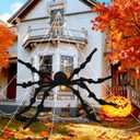 Seasons Giant 30" Posable Spider with Mega Yard Web Outdoor Halloween Decoration, 23 x 18 Feet Web
