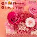 Rosaura Acrylic Display Case Compatible with Labubu POP MART Doll, Clear Storage Box Shelf for Collectibles, 3.5" Figure Spot in Preserved Flowers Rose Diorama. (NO Doll) (Red, Acrylic)