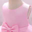 Flower Baby Girl Lace Dress Toddler Tulle Sleeveless Bow Princess Party Wedding Pageant Bridesmaid (6-12M)