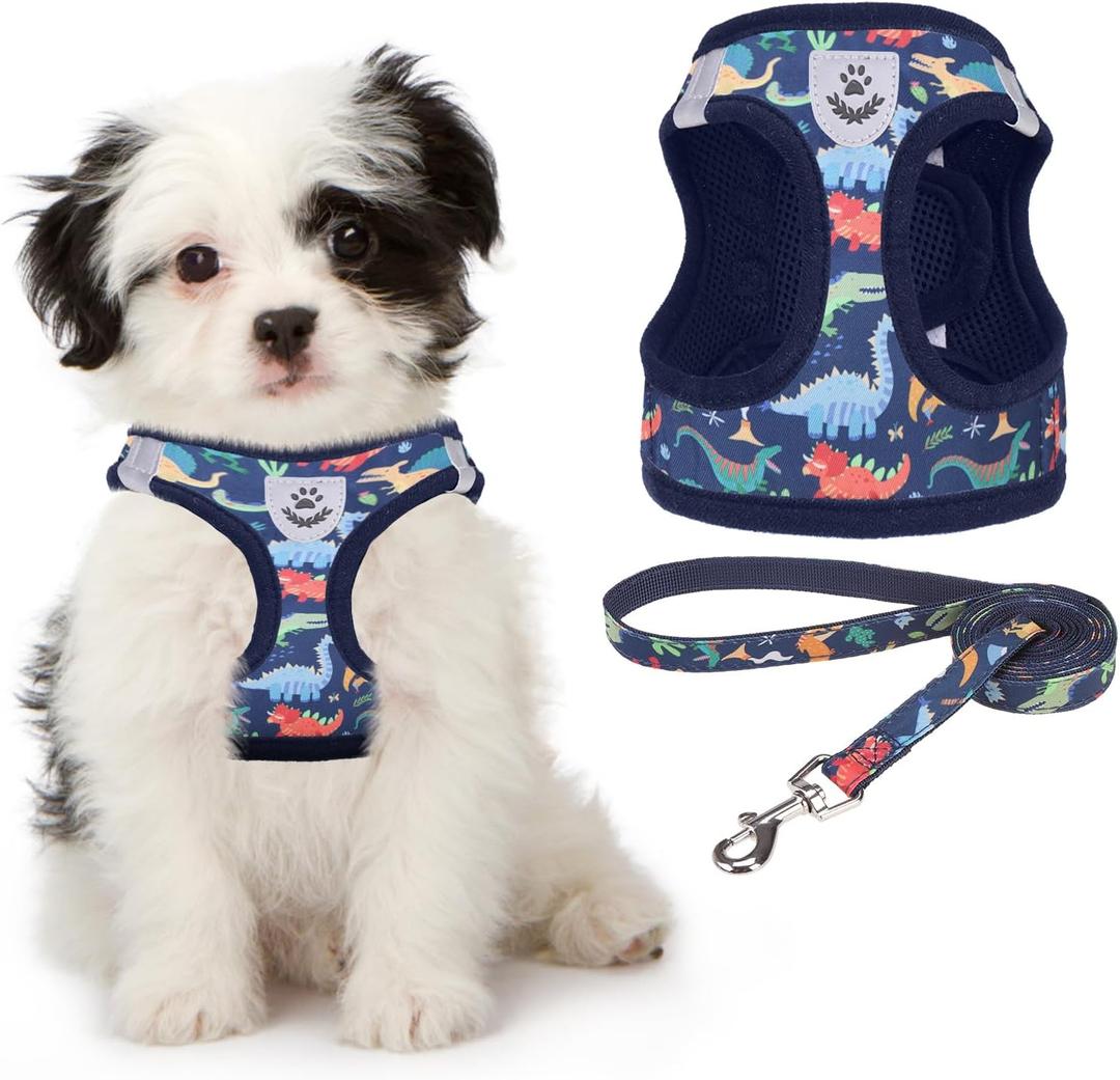 KOOLTAIL Dog Harness and Leash Set for Small Medium Dogs, Step in No Pull Soft Mesh Dog Harness Comfort Padded Pet Vest, Adjustable Reflective Easy Walking Puppy Cats Harness Training, Small (Pack of 1), Cartoon Dinosaur Blue