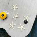 Resin Starfish Seashells Starfish Decor Sea Shells for Crafting Starfish Pendant for DIY Wedding Decoration,Beach Shells Vase Filling,Fish Tank Sea Shell Decor Shell Wall Decor(26, White)