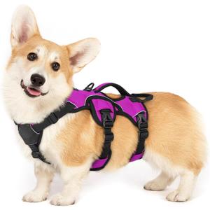 rabbitgoo Escape Proof Dog Harness, Soft Padded Full Body Pet Harness, Reflective Adjustable No Pull Vest with Lift Handle and Lesh Clip for Large Dogs Walking Hiking Training, S, Purple (Small (Pack of 1))