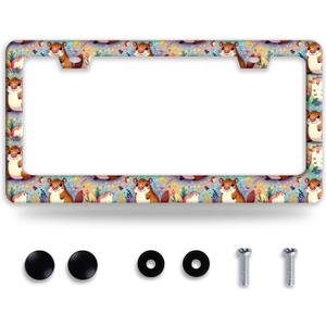 Squirrel License Plate Frame Cute Animal Cartoon License Plate Holder Funny Stainless Steel Accessories Cars Decor with 2 Holes and Screws Fits Standard Us Ca Vehicles 12.2 X 6 Inch