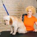 Pet Dog Grooming Loops,2 Pack Adjustable Nylon Restraint Noose Loop, Pet Grooming Arm Accessories Fixed Dog Bathing Safety Tether Straps for Pet Grooming Table Bathtub (Style 2)