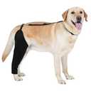 BARKLESS Single Dog Rear Leg Sleeve to Stop Licking, Breathable Male Female Dog Recovery Suit for Post Surgery, Comfortable Back Leg Sleeve for Wound Healing, Protective Cone Collar Alternative, XL