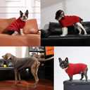 Lelepet Dog Sweater Turtleneck Pet Knitwear Pullover Dog Sweater for Small Dogs Cats Warm Doggy Sweatshirt Outfit for Fall Winter Cozy Pet Clothes for Indoor & Outdoor Walking, Chihuahua, Pomeranian (XS, Red)