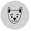 Dog Mat Cover Soft Grey 26*56 inch