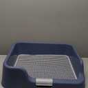 [PS KOREA] Indoor Dog Potty Tray  with Protection Wall Every Side for No Leak, Spill, Accident - Keep Paws Dry and Floors Clean! (Blue)