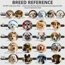 PUPTECK Anti-Slip Dog Socks with Double Sides Grips for Small Medium Large Dogs Hardwood Floors Prevents Licking, Dog Shoes for Hot Pavement Traction Control Paw Protector for Senior Dogs, Grey L (Large (4 Count))