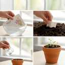 2PC Plantable Seed Calendar 2026, Eco-Friendly Plantable Love Seed Calendar 2026, Perfect Modern Greening Calendars Planner, Month Biodegradable Paper Planner, for Garden and Decor