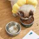 Cat Food and Water Bowls, Stainless Steel Cat Bowls for Small Dogs & Cats, Rust Resistant Stainless Steel, Detachable Durable Silicon Bowl Holder (Gray)