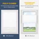 SUNFREE Top Down Bottom Up Cellular Blinds,Cellular Shades Blackout, Honeycomb Window Shade for Windows, 31" W x 64" H, White(Light Filtering)