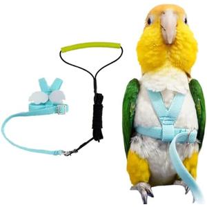 Pet Parrot Bird Harness Leash Adjustable Bird Flying Harness Traction Rope with Cute Wing for Parrots Pigeons Budgerigar Lovebird Cockatiel Mynah Outdoor Training Toy (L, Blue)