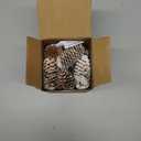 DomeStar 40PCS Snow Pine Cones for Crafts, Natural Cones Christmas Ornaments for Xmas Tree Wreath Winter Holiday Hanging Ornaments, Winter Vase Filler