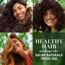 Herbal Essences Argan Oil Repair Shampoo & Conditioner Set, Moisturizes & Smoothes, Paraben-Free, Color-Safe, pH-Balanced, Citrus Scent, 20.2 Fl Oz, 2-Pack