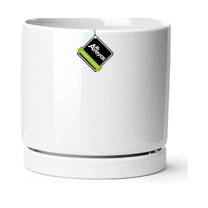 Aveyas 10 inch Ceramic Plant Pot with Drainage Hole and Saucer - Suitable for Indoor and Outdoor Use, Modern Planters for House Garden Flower Tree Snake Monstera Plants (10", Shinny White)