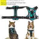Demigreat Service Dog Harness, Reflective Dog Vest Harness with 5 PCS Patches, Adjustable Soft Oxford Pet Harness, Inner Layer Mesh, Easy to Control for Dogs (X-Large (Pack of 1), Turquoise)