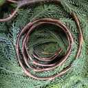 6FT 2Pack Real Touch Christmas Norfolk Pine Garland, Artificial Christmas Garland, Faux Greenery Garland with Lifelike Texture for Fireplace Mantle Table Wall Stair Indoor Outdoor Holiday Xmas Decor