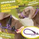Fida Durable Slip Lead, 6 FT x 1/2" Heavy Duty Rope Leash for Large, Medium Dogs, No Pull Pet Training Leash with Highly Reflective, Purple