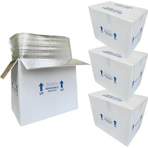 ROTCH Insulated Shipping Boxes with Liners, 4 Pack 19x12x16'', Cold Shipping Box Coolers for Perishable Frozen Food, White (T191216-4L-W)