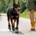 Dog Shoes for Hot Pavement - Comfortable Paw Protection for Medium & Large Dogs, Adjustable Strap & Non-Slip, Easy-Clean, Outdoor Sports Boots, Dog Booties for Summer Rain (Green, XL)