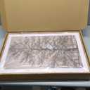 HOURIA Vintage Tree Sketch Framed Canvas Wall Art Set,Natural Brown and Gray Woodland Wall Decor,Mid Century Nature Forest Artwork,Textured Botanical Art Print for Living Room,Bedroom,Office-16"x24"x3