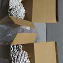 Tondiamo 6 Pcs Christmas Large Pine Cones Giant White Xmas Tree Ornaments Big Unscented Natural Pinecones Craft for Decoration Winter Christmas Holiday Craft DIY Wreath Filler Home Wedding(5-6 Inch)