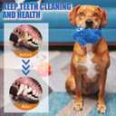 Plush Squeaky Dog Toy, Crinkle Stuffed Dog Toy Keep Them Busy Tug of War Birthday Dog Chew Toy for Small Medium Large Dogs (Blue)