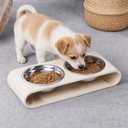 Beige Marble Elevated Dog Bowls Set - 2 Thick 6" Stainless Steel Puppy Food Bowl with Non-Slip Raised Holder Stand, Double Feeding Bowls for Food and Water, Suitable for Cats and Small Medium Pet