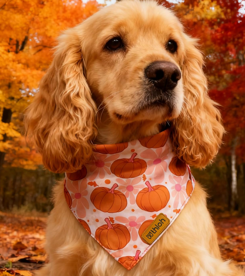THLOH Fall Dog Bandanas - 1 Halloween Thanksgiving Dog Bandana | Reversible Pumpkin and Leaf Pet Scarf | Premium Durable Fabric | Boys & Girls | Holiday Bandana for Medium and Large Dogs (Large)