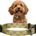 2 x Kazazoo Dog Collar Cute and Soft Nylon Puppy Collar for Boy and Girl, Adjustable Dog Collars for Small Medium Dogs, Yellow&Blue Plaid-S