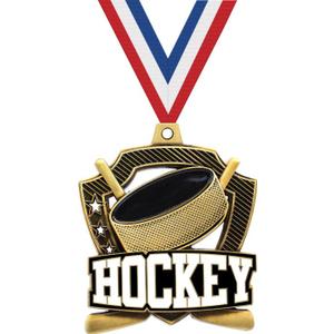 Trnayi 20 Pcs 10/20 /30/40 Pcs Award Medals Bulk Sports Medals with Neck Ribbons 2.4 Inch Winner Award Trophy Prize Gift for Sports Themed Party Favors Tournaments Match (Hockey)