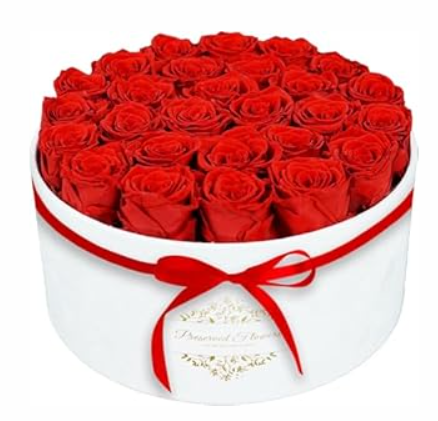 17 Forever Flowers in a Luxury Suede Box, Preserved Roses Birthday Gifts for Women, Romantic Anniversary Valentines Day Gifts for Her Girlfriend Wife, Red