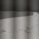 VIISHOW Womens Tie Front Chiffon Blouses V Neck Batwing Short Sleeve Summer Floral Tops Shirts (Small, White)