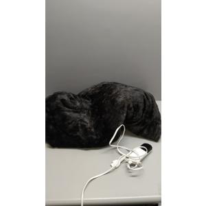 MAXEVE Electric Heated Throw Faux Rabbit Fur Blanket with 8 Heating Levels & 8 Hours Auto Off, Fast Heating Warm Cozy Sherpa Washable Blanket with OverHeat Protection, ETL Certification, Grey