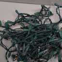 Novelty Lights RetroGlo® LED Mini Lights, 100 Clear Bulbs on Green Wire, 34ft with 4" Spacing, Incandescent Look with Modern Efficiency, 2700K Warm White Core, Interchangeable Bulbs, 2 Pieces