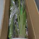 2Packs 4FT Artificial Bird of Paradise Plant,Faux Palm Tree Potted Plant with Real Touch Leaves,Fake Trees for Home Living Room Office Indoor Outdoor Decor(4 FT-2Packs)