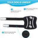 Dog Leg Braces for Rear Legs, Hock Brace for Back Legs with Metal Strips and Safety Reflective Straps for Short Legs, Joint Warps Support for Hind Legs Injuries Sprains Arthritis (Medium(1Pair)