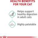 Royal Canin - Digestive Care Chunks in Sauce Adult Wet Cat Food, 3 oz Packets (Pack of 12), Chicken Flavor, Best By July 23, 2027