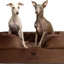 NOAH & PAW Large Dog Bed, 35x25x11 Inch, Orthopedic Dog Beds, Eggshell Memory Foam Infused with Cooling Gel, Inner Cover, Waterproof, Machine Washable (Velvet Sofa Collection) (Brown)