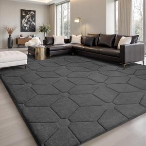Sour Lemon Fluffy 8x10 Area Rugs for Living Room, Soft Bedroom Carpet with Non-Slip Backing, Machine Washable