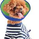Inspack Soft Dog Cone Collar Alternative, E Cones for Medium Small Dogs/Cat to Stop Licking After Surgery, Neuter Recovery Ecollars of Shame Alternatives, Comfortable Paws Comfy Elizabethan Collars (M ( Fit 11-20 lb Dog), Mesh Cloth - Blue)