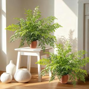2 Pack Artificial Fern Plants in Pots Artificial Boston Ferns Potted Plants Faux Fern Bush Plant Shrubs Greenery for Outdoor Indoor Porch Patio Farmhouse Garden Living Room Office Table Decor (Type 2)