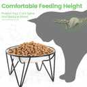 Ceramic Cat Bowls, 2 Pack - Raised, Whisker Friendly, Anti-Vomiting Cat Food Plates - Hygienic, Secure Material, Elegant Stand, 10 oz, for Indoor Cats & Kittens