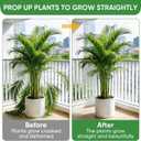 HiGift 10 Pack 24" H x 10" W Tall Plant Support Stakes, Half Round Metal Peony Cages and Supports, Monstera Plant Support Snake Plant Stake Flower Support Ring for Tomato, Hydrangea Outdoor Indoor