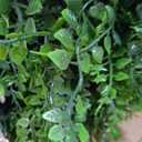 Greenery Faux Grass Wall Backdrop: 20"x20" (24P) UV-Anti Artificial Green Boxwood Panel for Patio Balcony Privacy & Ivy Fence Covering Privacy, Garden, Backyard Wall Backdrop Decor