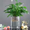 3 Plastic Fish Bowls Vase, Extra Large Unbreakable Cylinder Flower Vases for Home Decor Centerpieces Hydroponic Plant Flower Shop Decorative (D 9.8" -D7.9 -D D6)